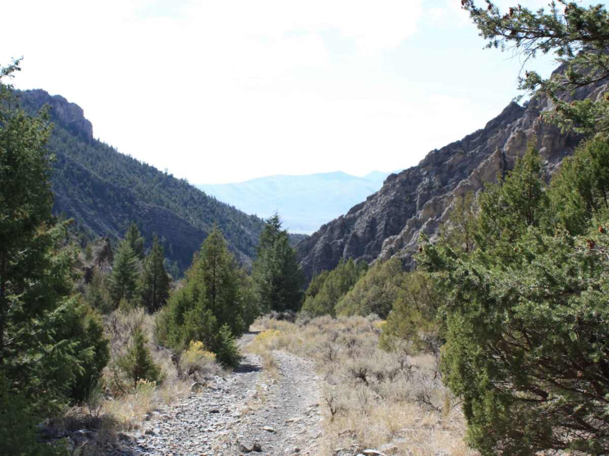 Jaggles Canyon trail photo