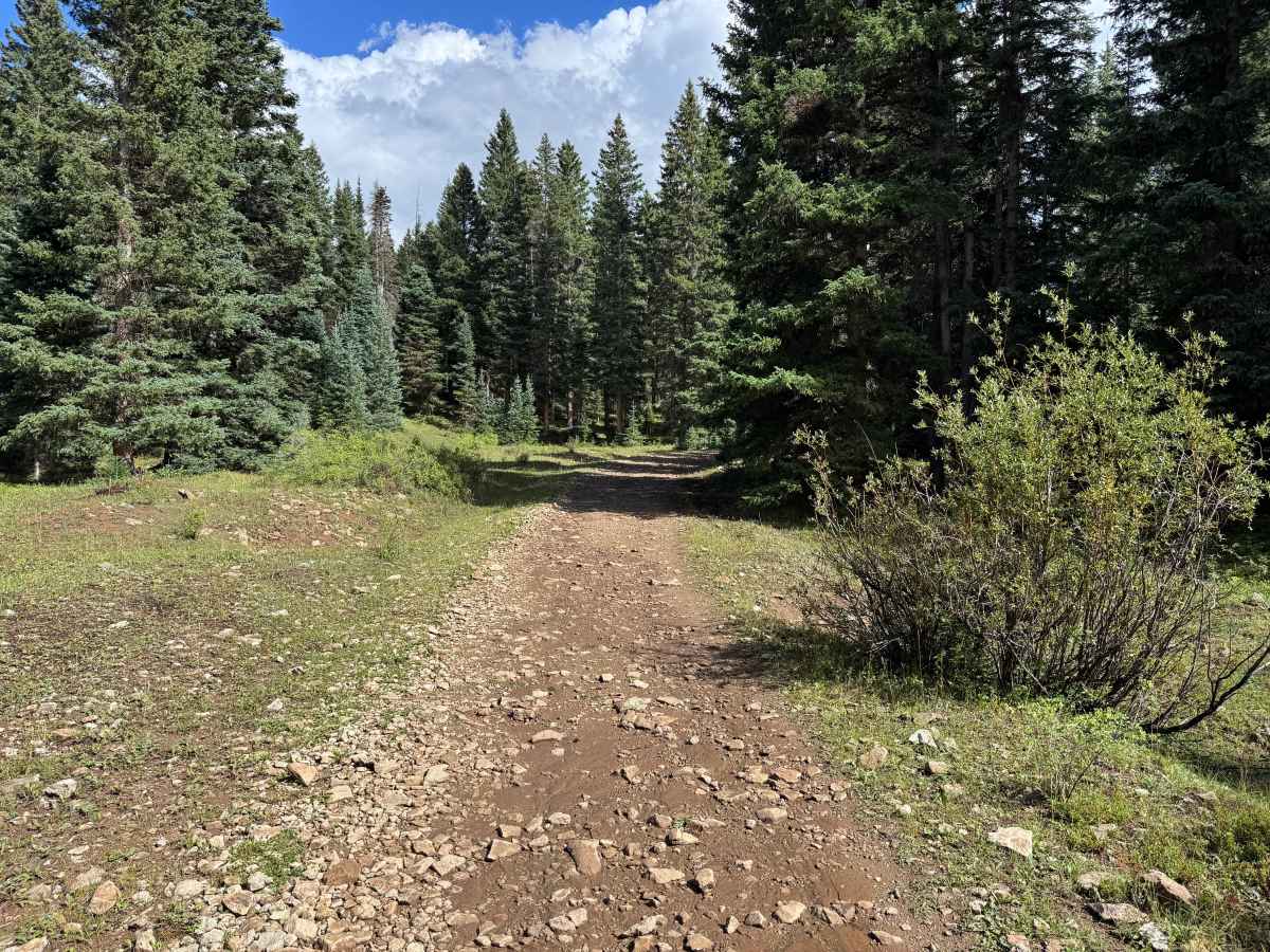 Dillons Cabin Road photo 3