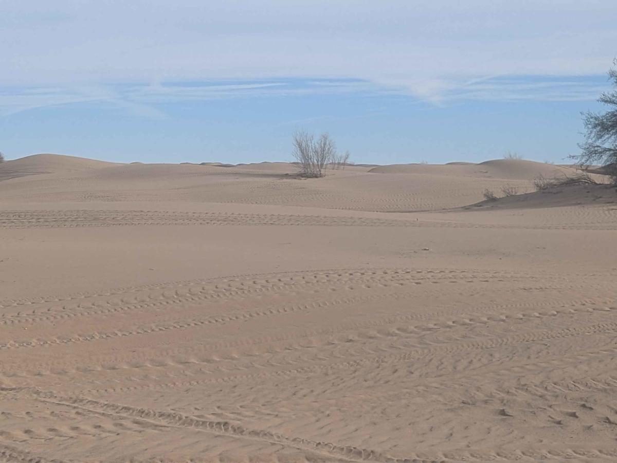 The Sand Highway photo 4