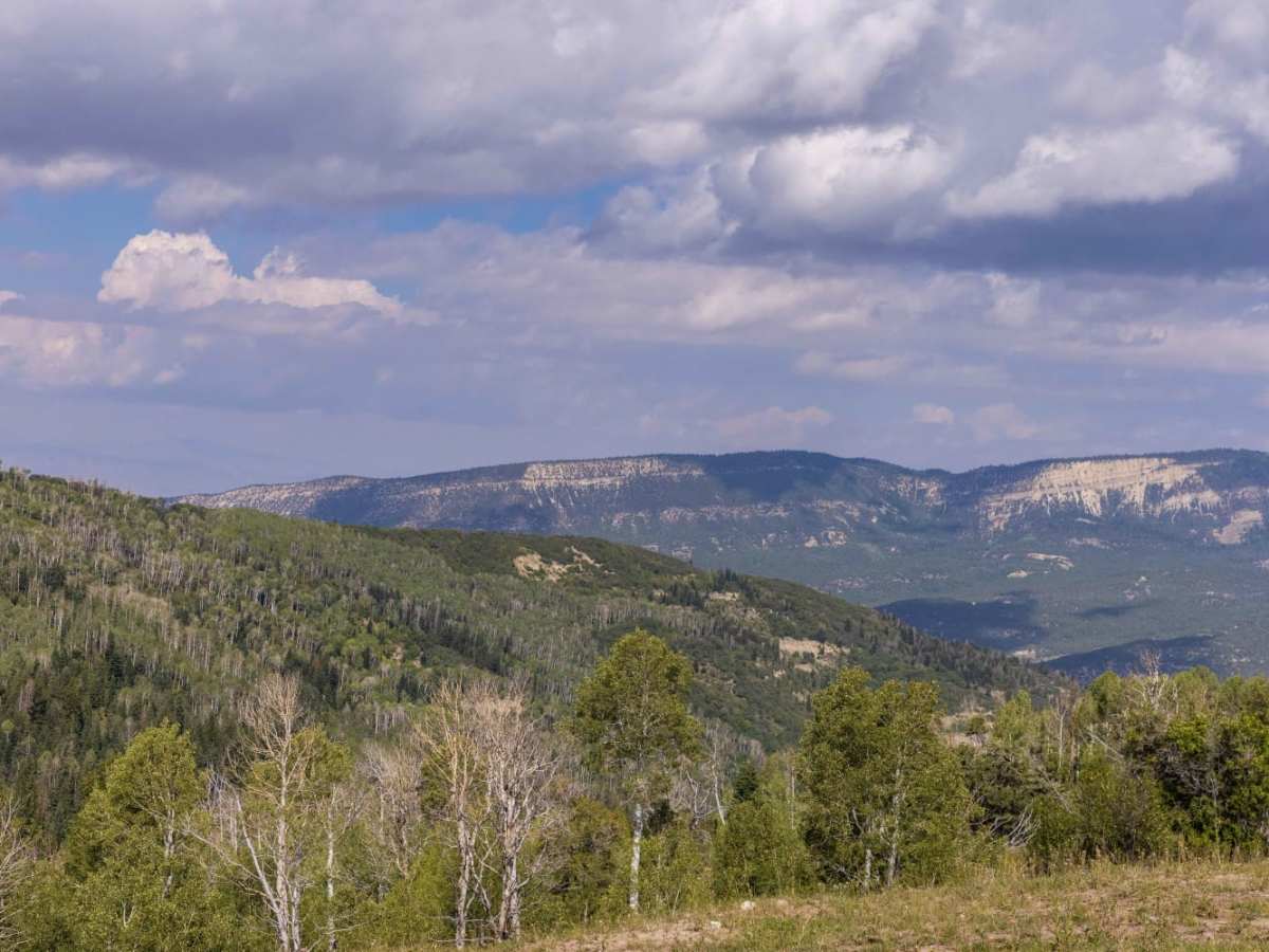 Beaver Creek - Mount Baldy photo 5