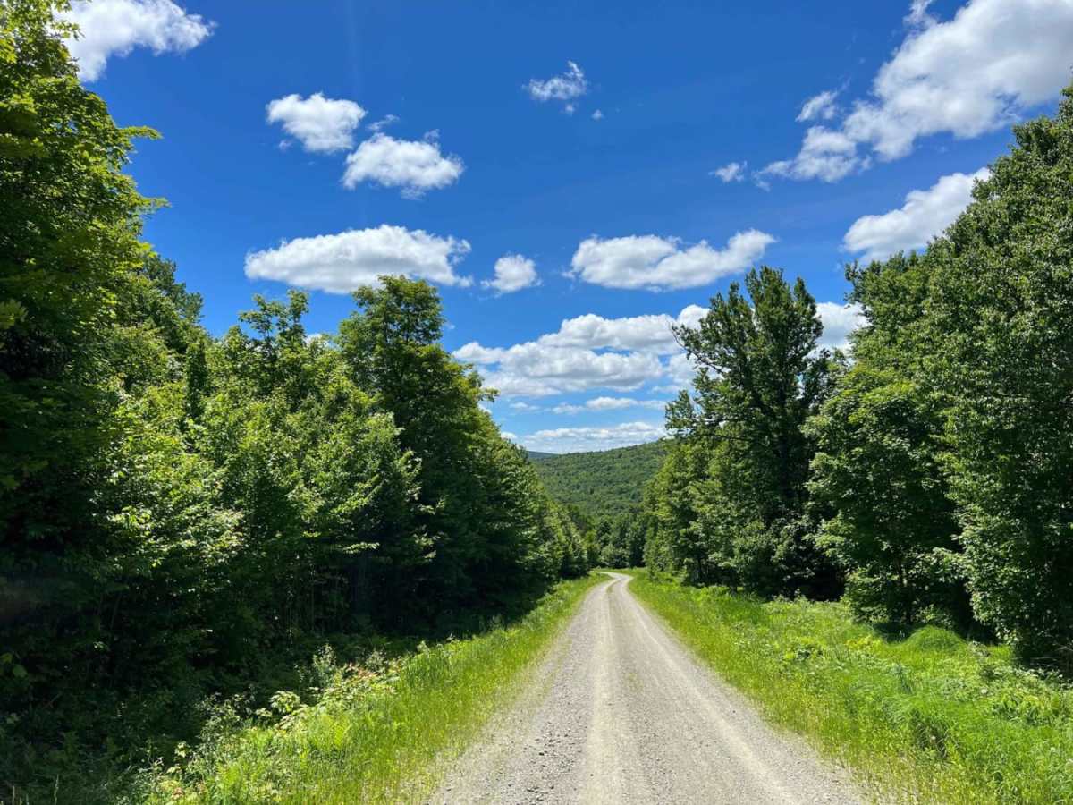 Cedar Stream Road trail photo