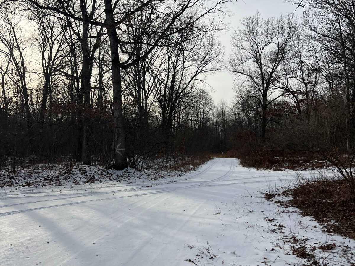 Dehaas Line Trail photo 5
