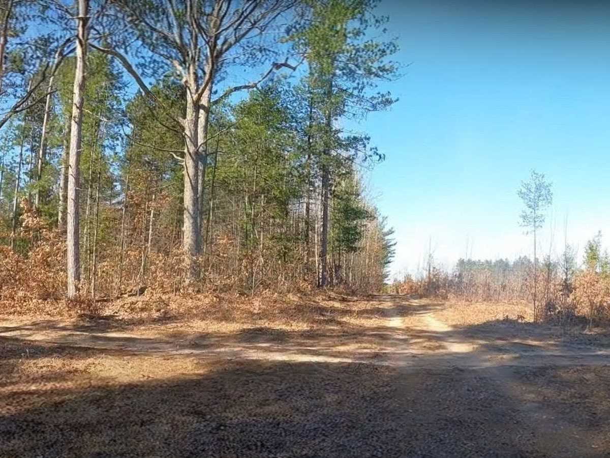 Markey Road trail photo
