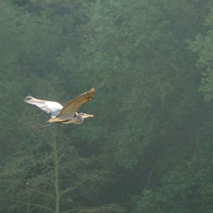 Near Skyline Park to Lake Marie Loop