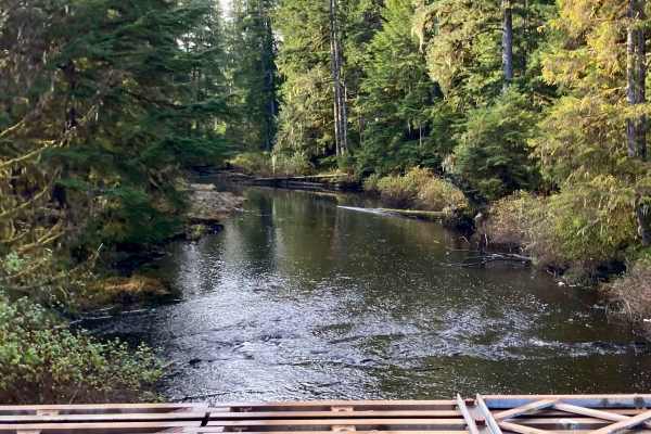 Gutchi Creek Road - FS 2058000