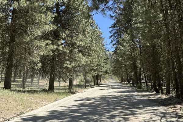 South Fork River Road