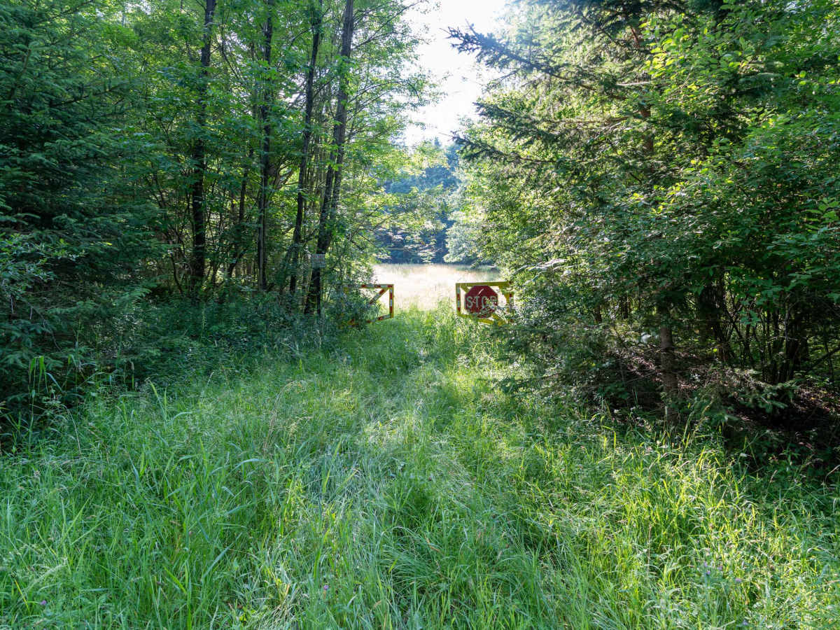 Ebert Road photo 2