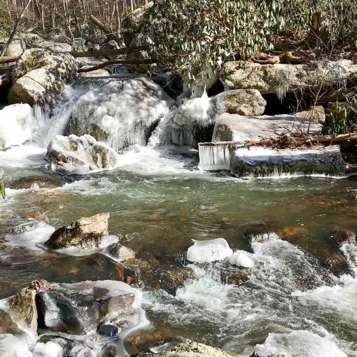 Near Cascade Falls Loop