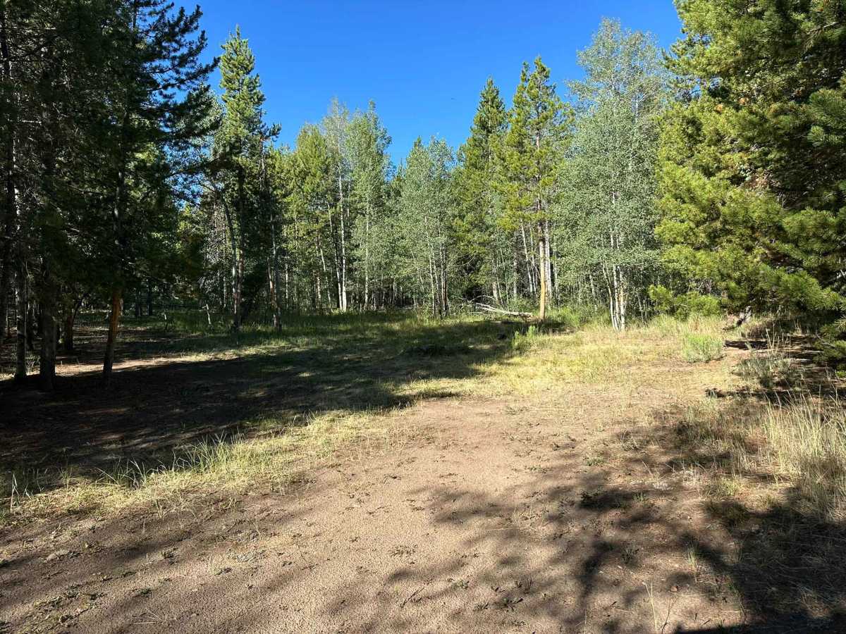 Kinney Creek Road photo 5