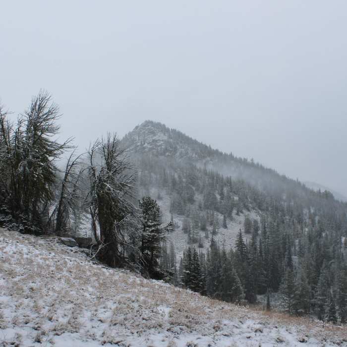 Near Purple Pass Hiking Loop