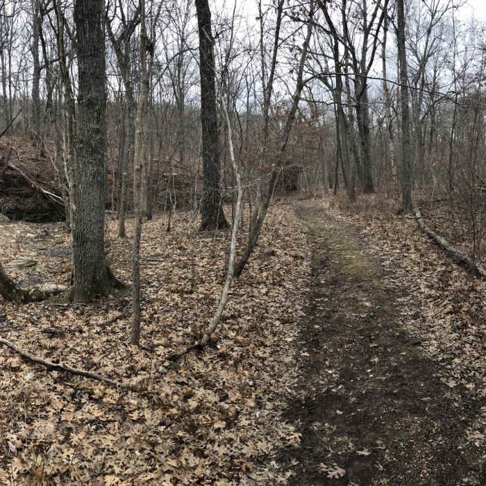 Nice creek with interesting rock features at the bottom of the loop Near Young Conservation Area