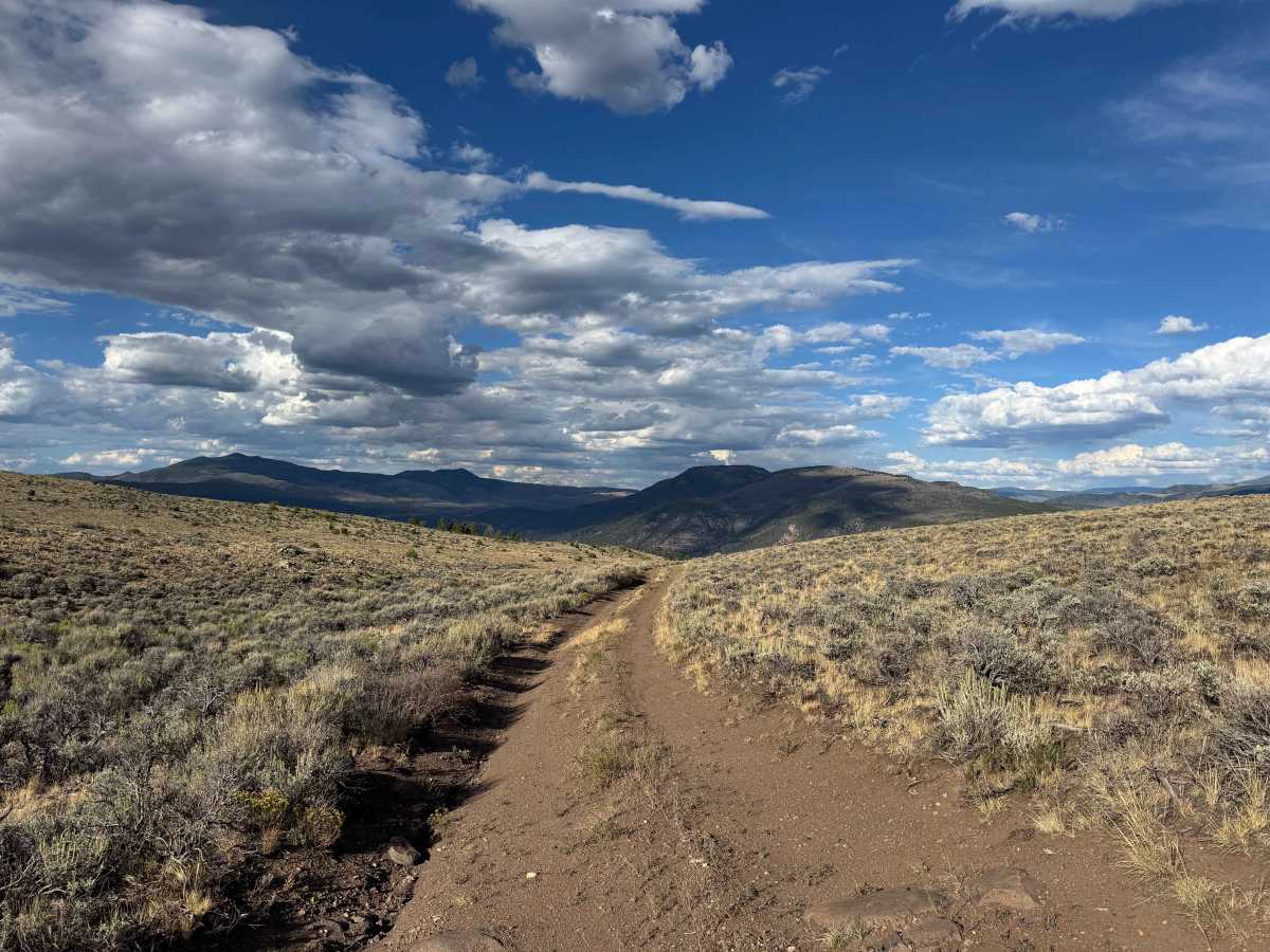 BLM 8536 photo 3
