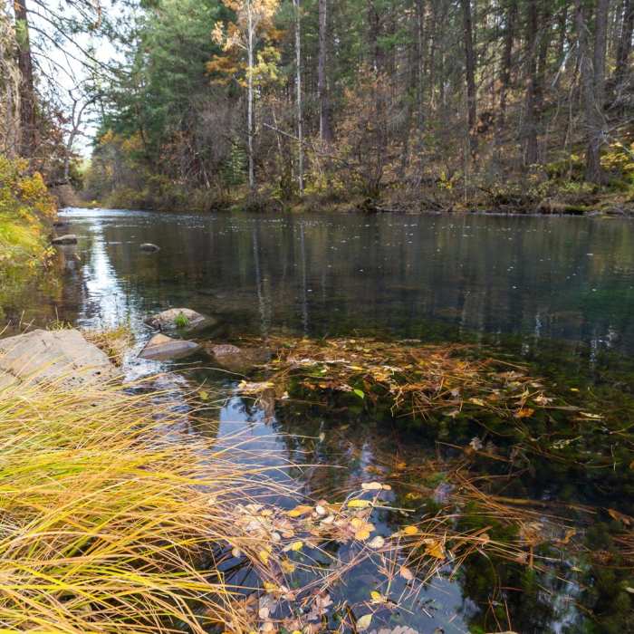 Near Headwaters Trail + PCT bridge