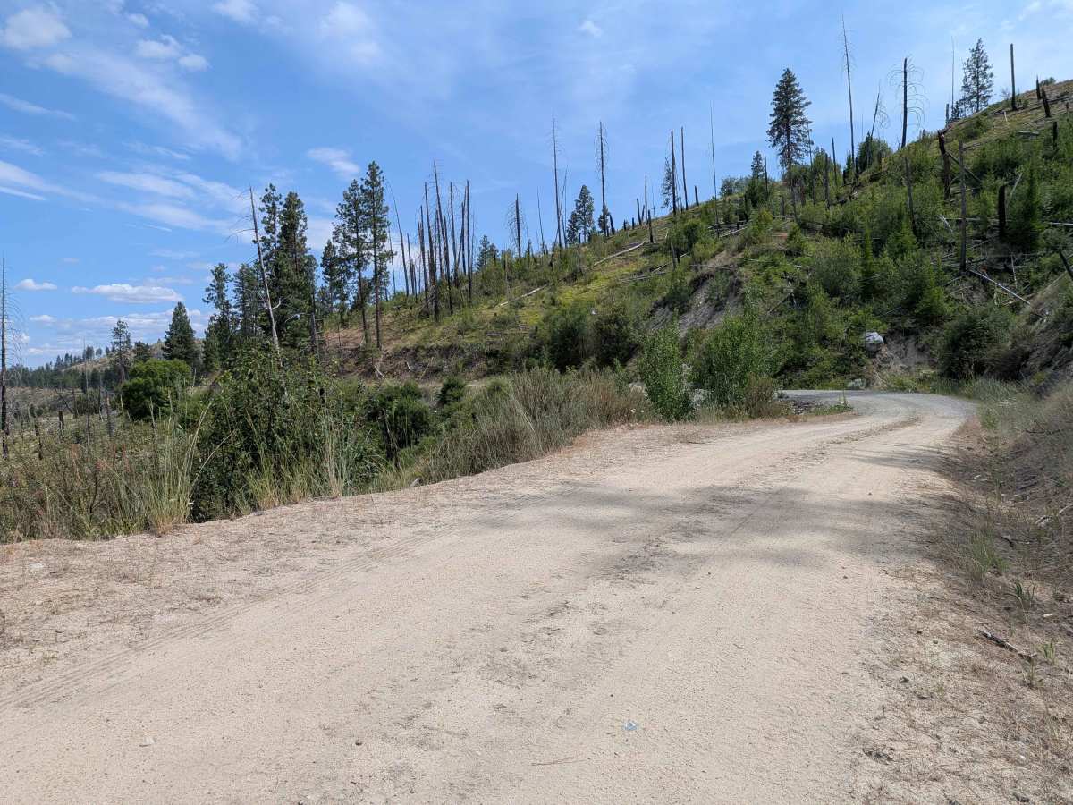 North Cook Mountain Road North half trail photo