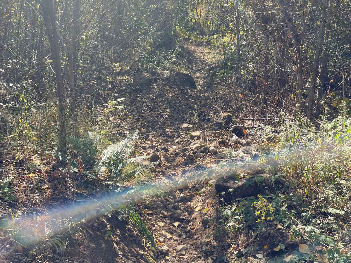 Lower Hydro Hill photo 4
