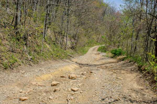 GS1 Trail