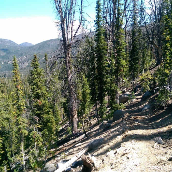 Near Rough Creek Trail