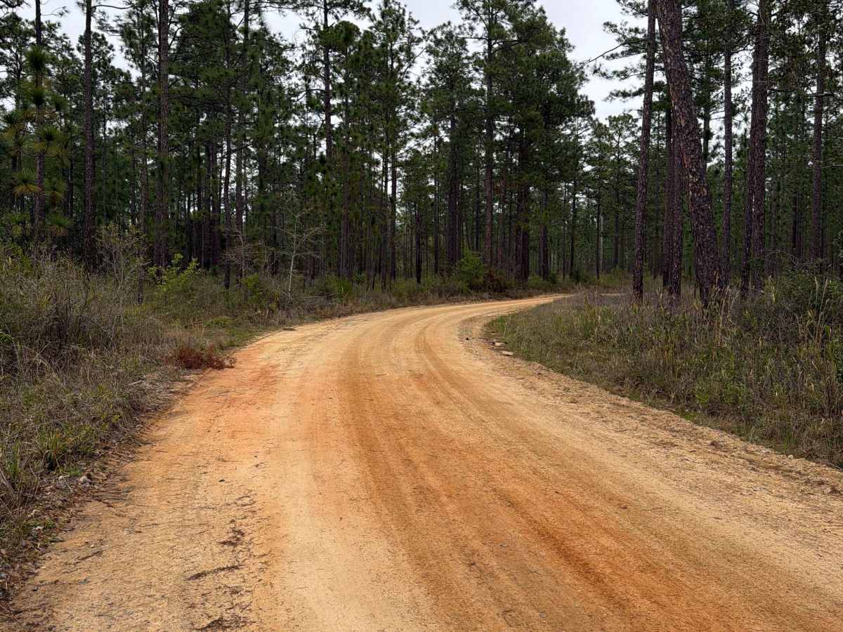 McDaniel Road trail photo