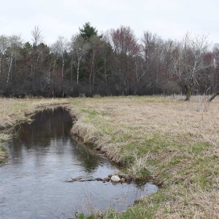 Near Coon Lake Regional Park Trail