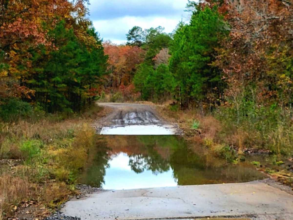Cedar Creek Trail photo 4
