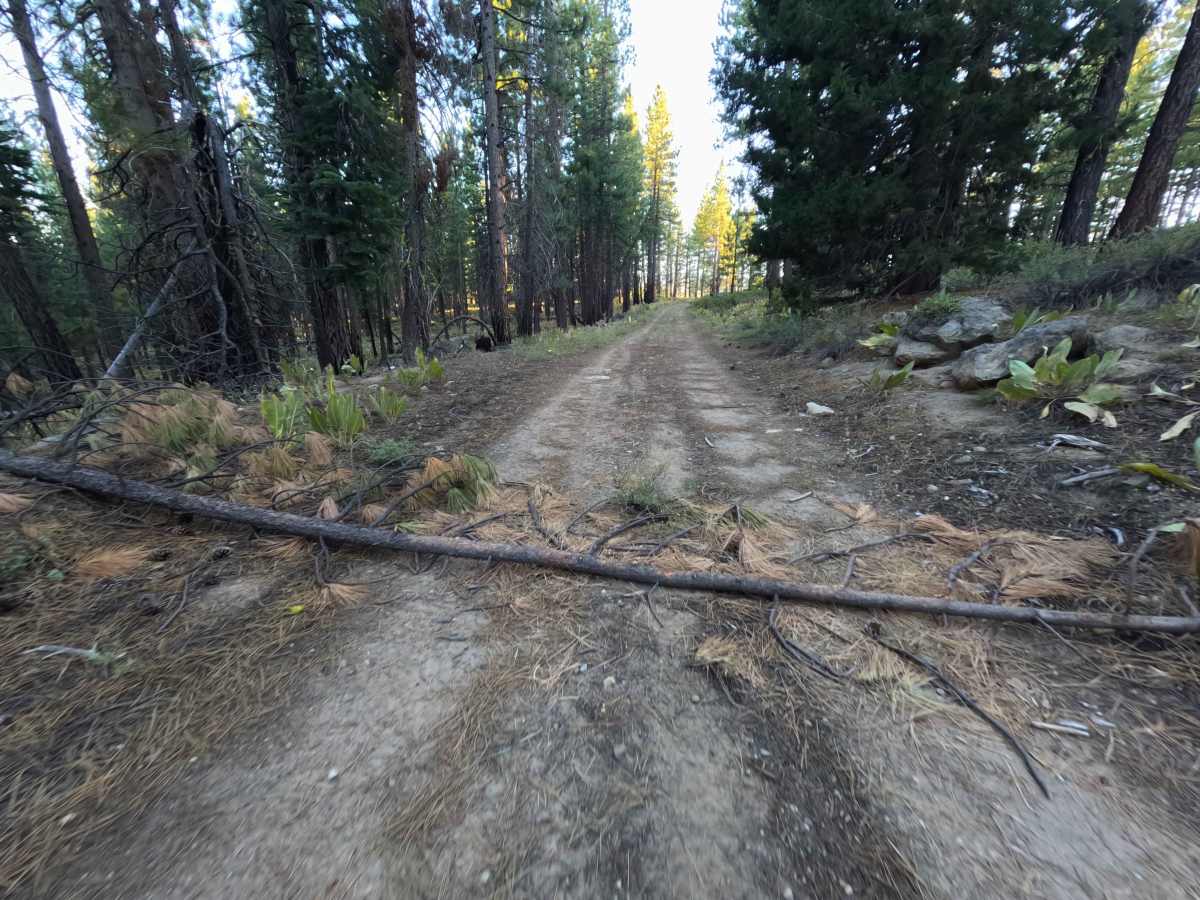 Wheeler Tie Spur - FS 0450-005-15B photo 3