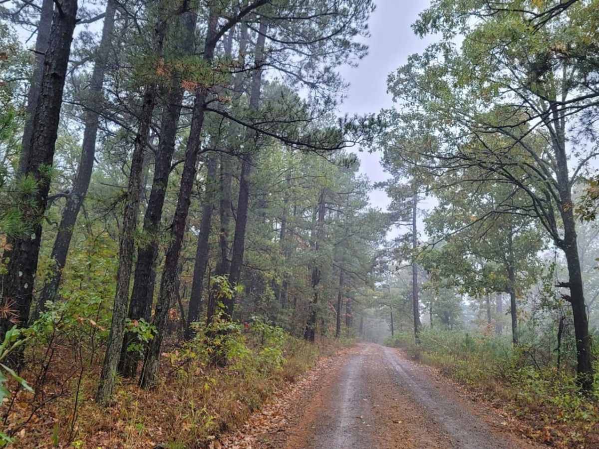 Walnut Grove trail photo