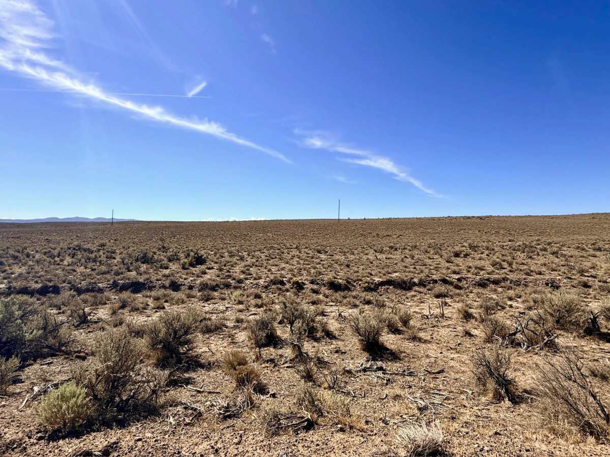  Saval Ranch Road photo 2