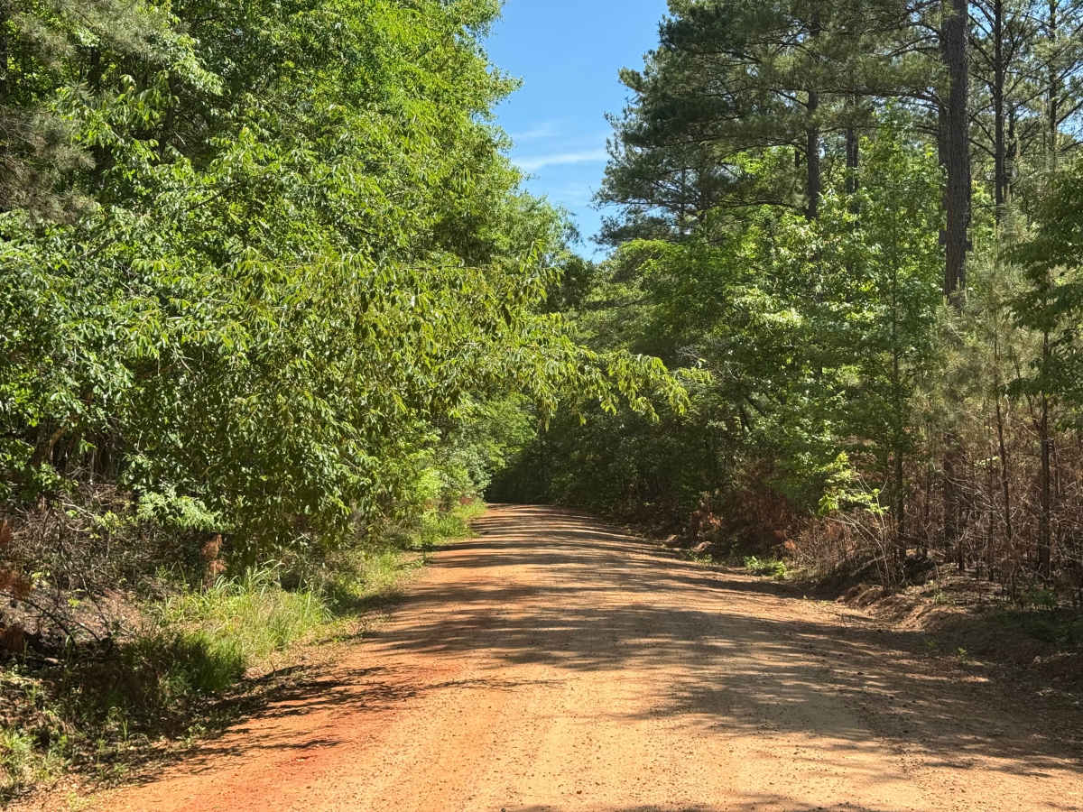 Glenwood Springs Road photo 4