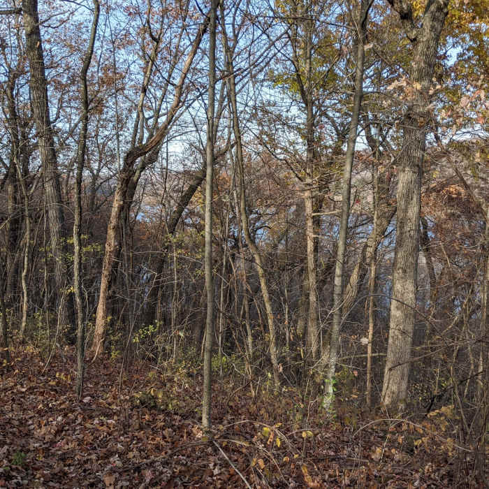 Near Kiln Trail