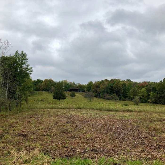 Near Wilkinson National Recreation Trail
