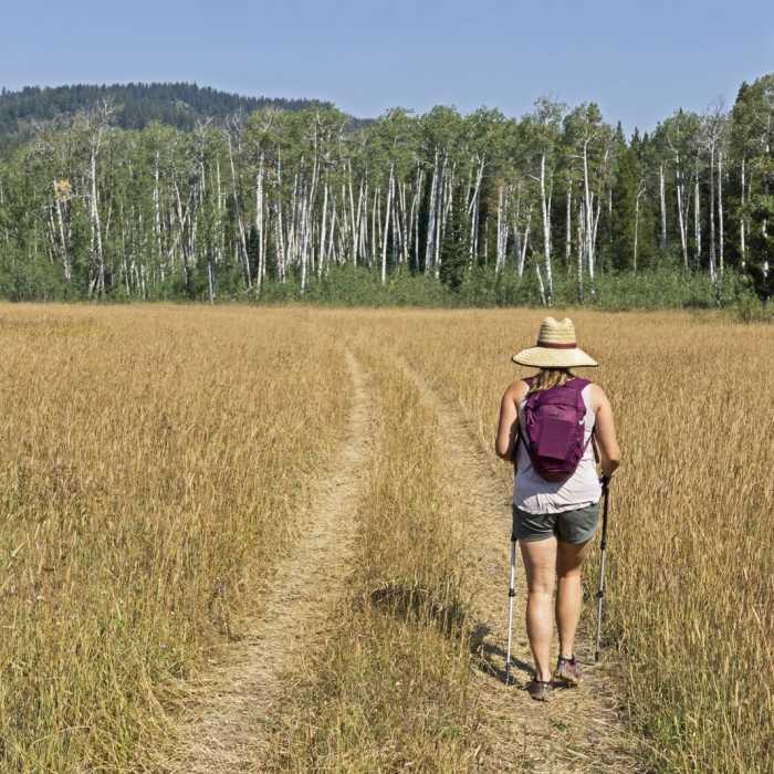 Near Arizona Creek Trail to Bailey Meadows