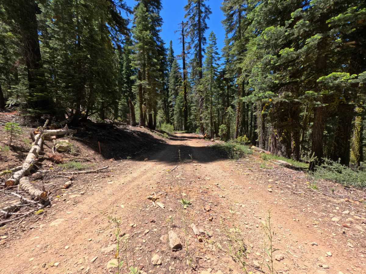 Sawtooth - Spur D photo 5