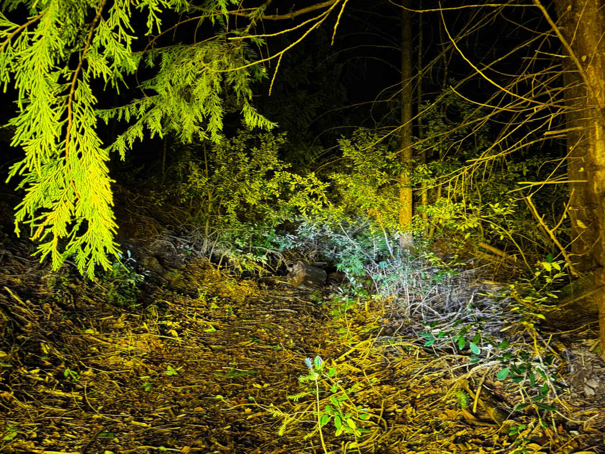 Indian Creek photo 5