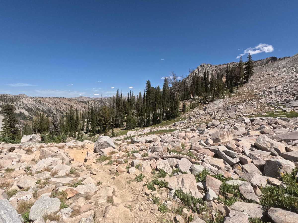 Bass Creek - FS 7061 photo 6