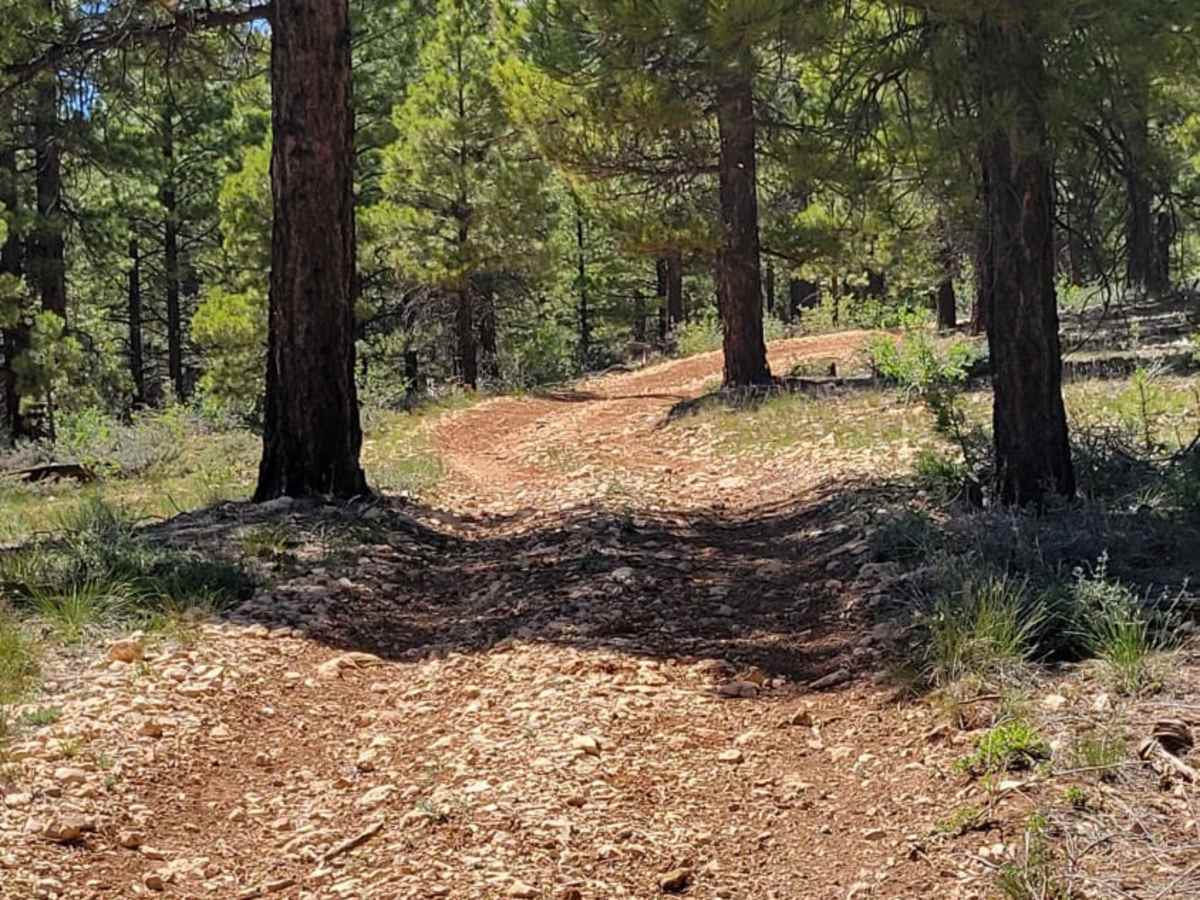 Uinta Loop 1 photo 4