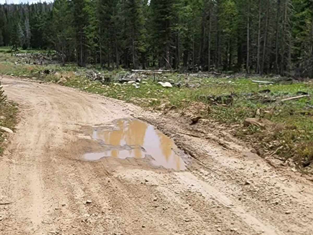 Ehlin Road photo 4