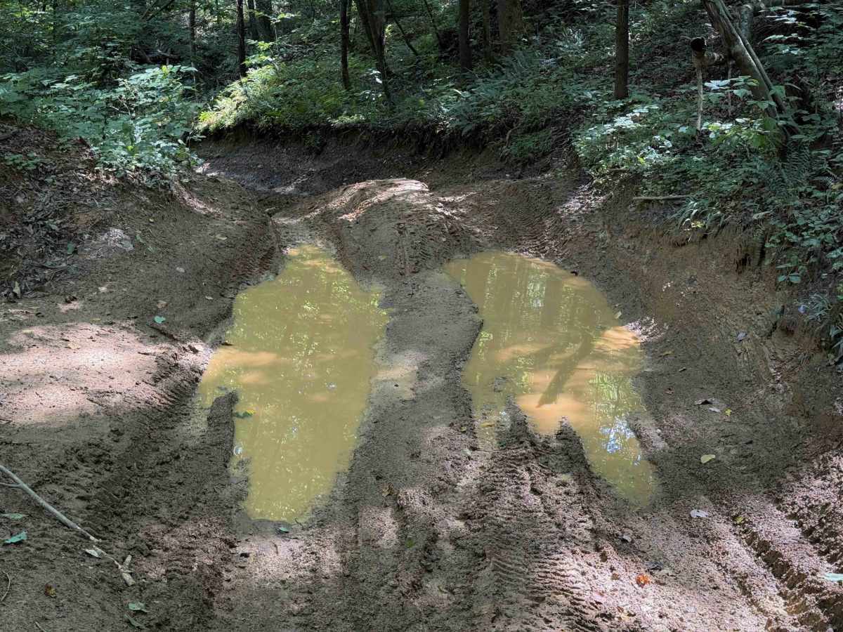 Muse Hollow Trail photo 2