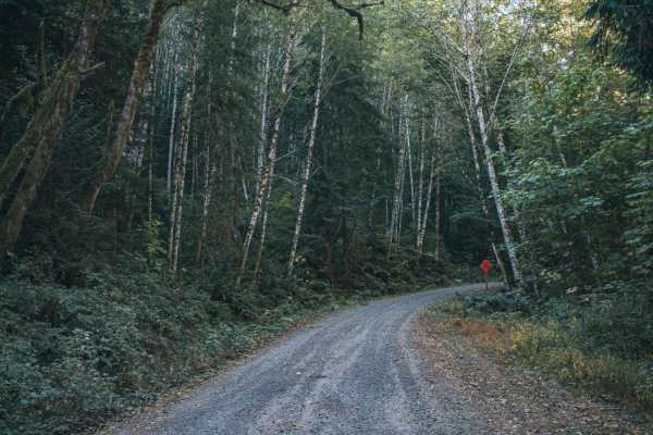 Schooley Creek