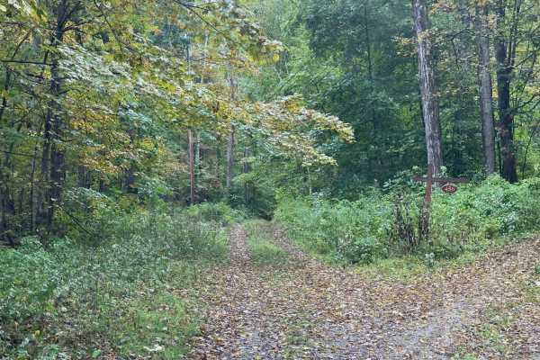 Benedict Trail