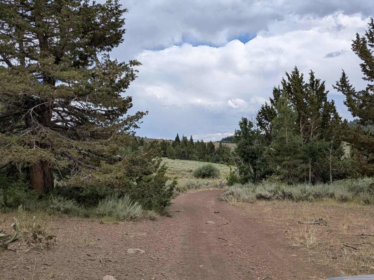 Pass Spur Road - FS 3108B photo 3