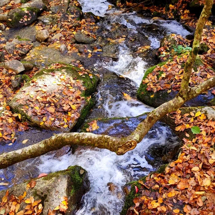 Near Florence Nature Preserve Access Trail