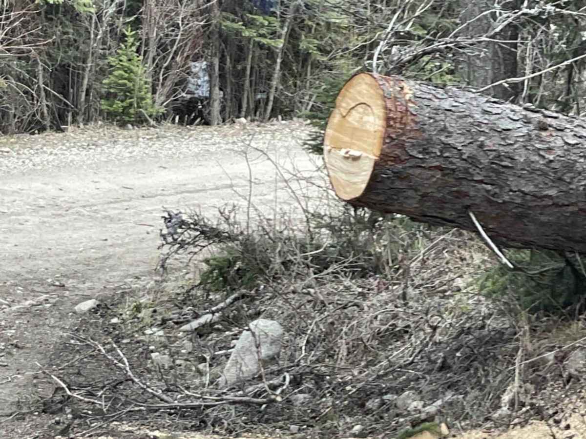 Moore Lake Rec site (from Posthill) photo 3