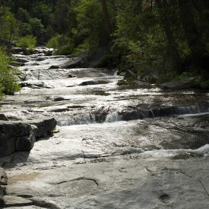 Near Carlon Falls Trail