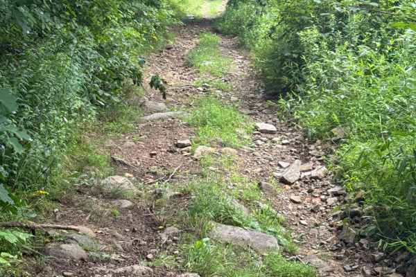 Trail 67