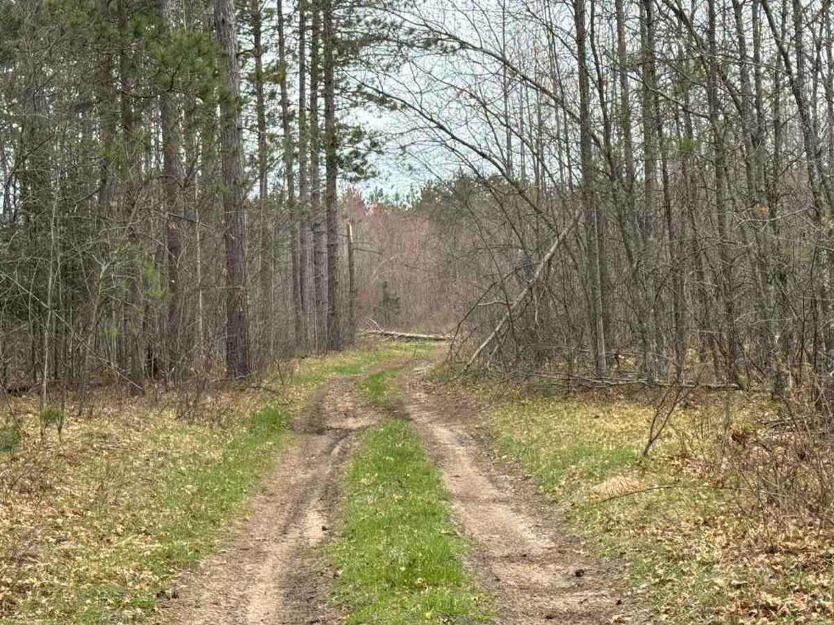 Saunter Trail photo 3