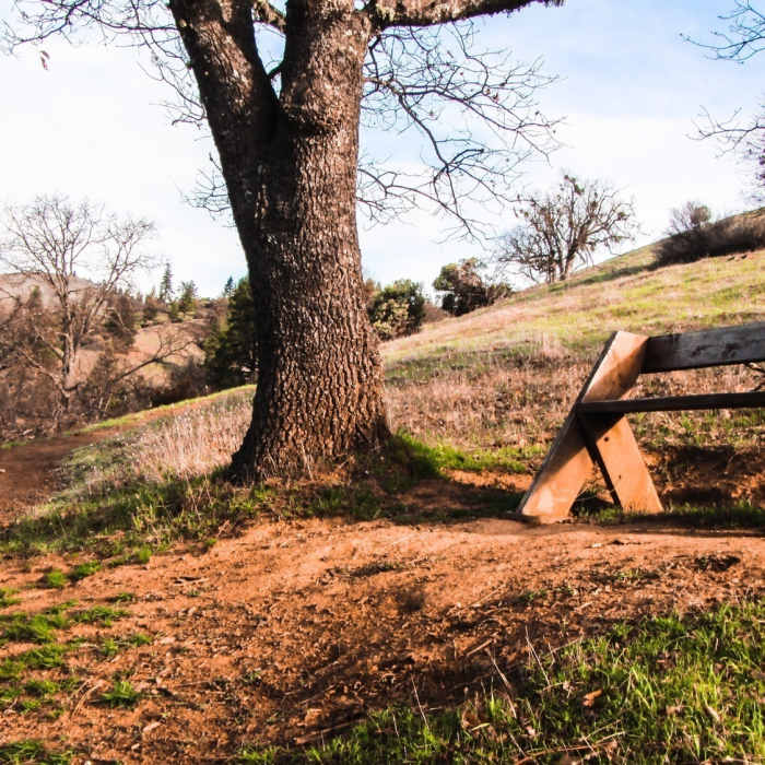 Near Tunnel Ridge Trail