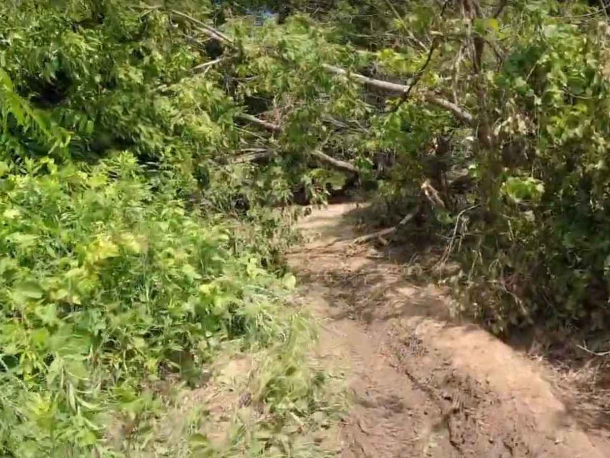 Snake Creek ATV Trails photo 5