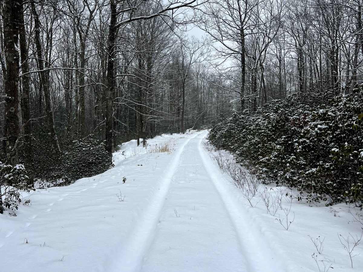 Mill Run Trail photo 3