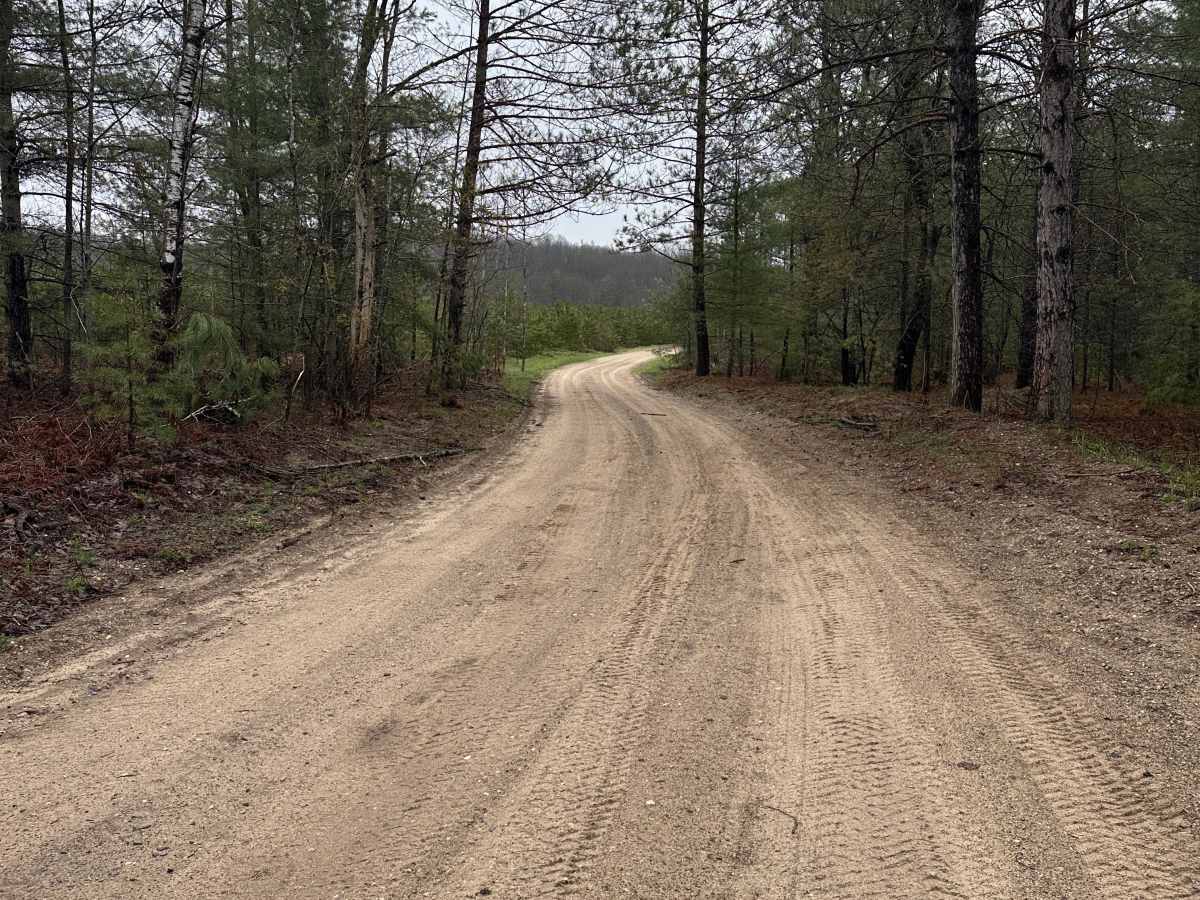 Lynn Lake Road photo 6