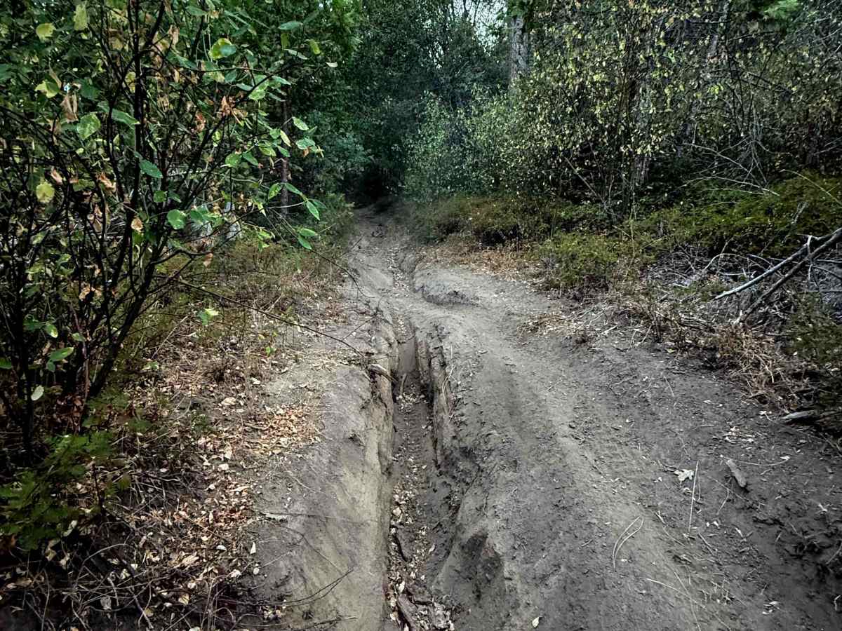 21E246 trail photo